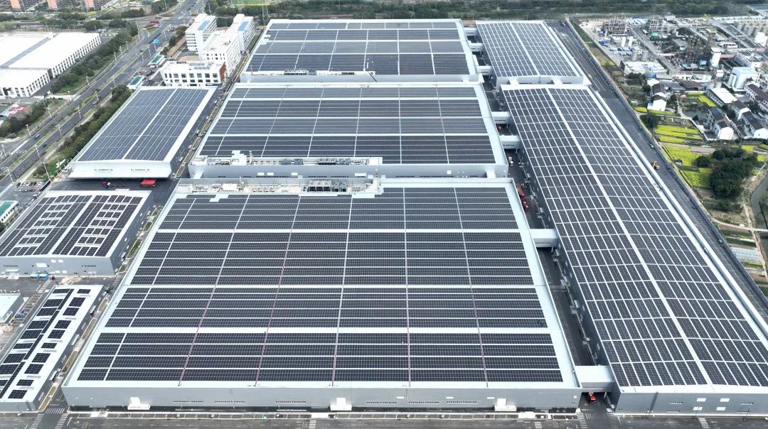 202504257993c5dbe63c4411a367c69bb0109ed2